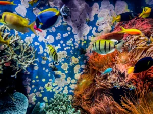 underwater scene colorful and vibrant aquarium l 2023 11 27 05 05 54 utc 1.webp